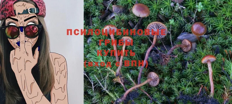 Псилоцибиновые грибы Magic Shrooms  Нефтеюганск 